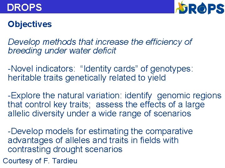 DROPS Objectives Develop methods that increase the efficiency of breeding under water deficit -Novel