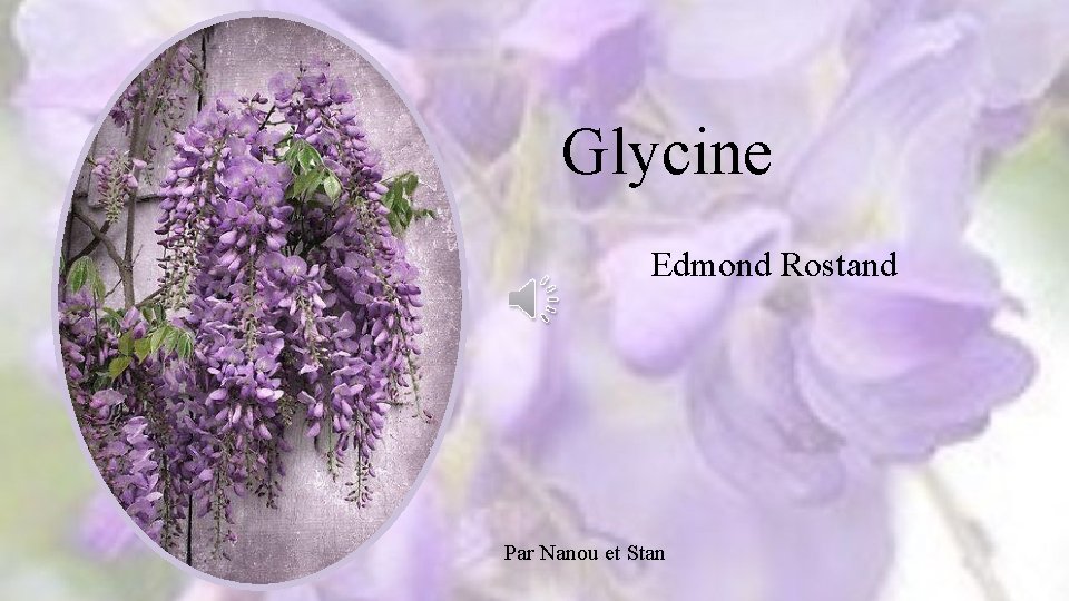 Glycine Edmond Rostand Par Nanou et Stan 