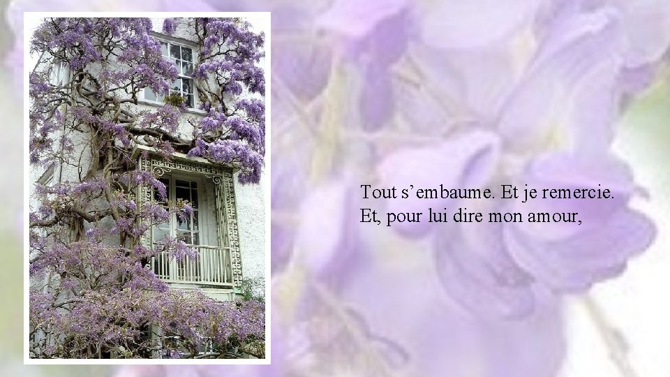 Tout s’embaume. Et je remercie. Et, pour lui dire mon amour, 