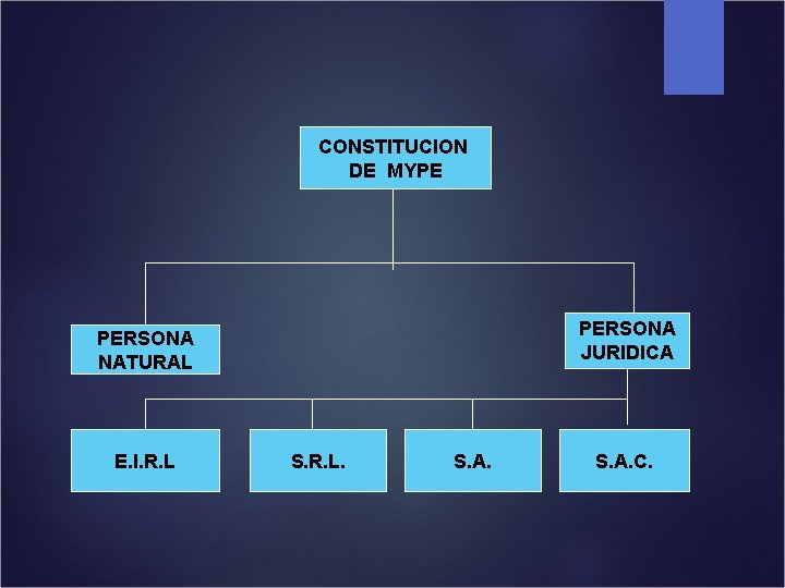 CONSTITUCION DE MYPE PERSONA JURIDICA PERSONA NATURAL E. I. R. L S. R. L.