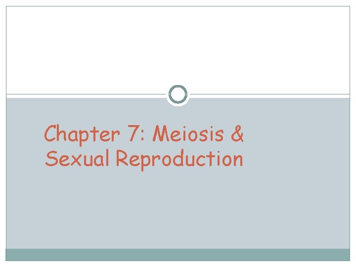 Chapter 7: Meiosis & Sexual Reproduction 