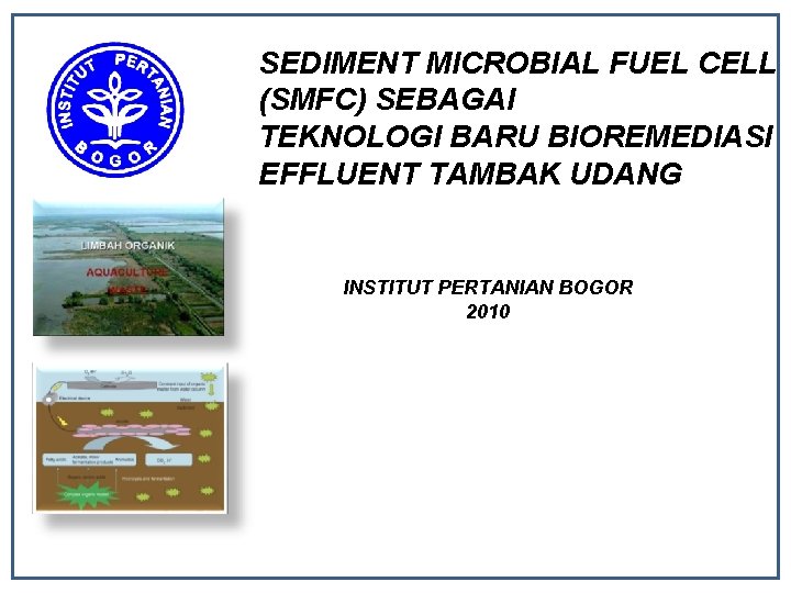 SEDIMENT MICROBIAL FUEL CELL (SMFC) SEBAGAI TEKNOLOGI BARU BIOREMEDIASI EFFLUENT TAMBAK UDANG INSTITUT PERTANIAN