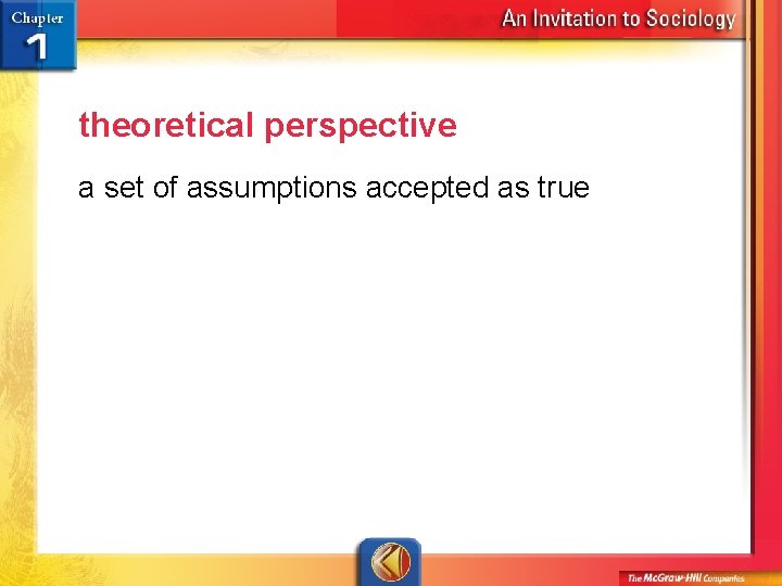 theoretical perspective a set of assumptions accepted as true 