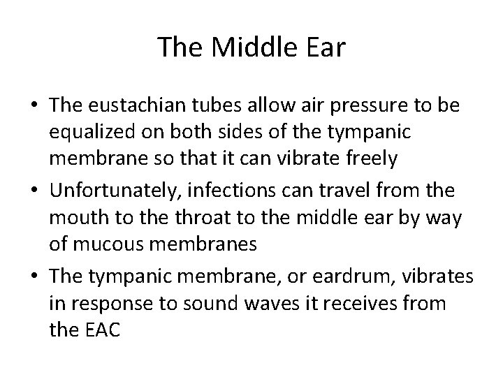 The Middle Ear • The eustachian tubes allow air pressure to be equalized on