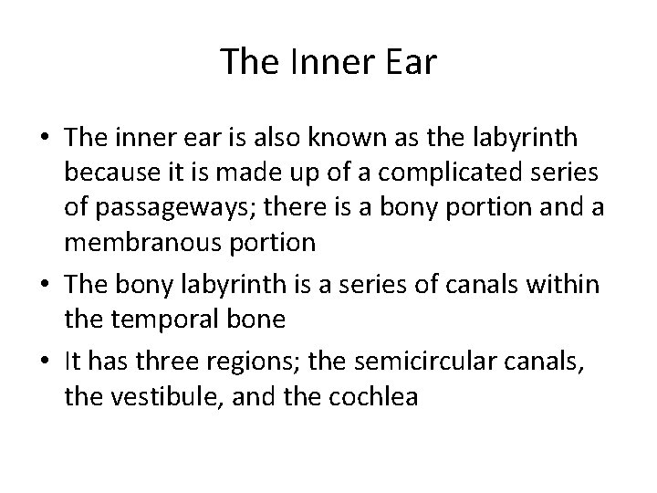 The Inner Ear • The inner ear is also known as the labyrinth because