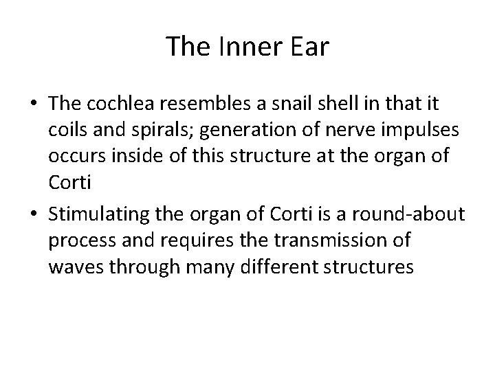 The Inner Ear • The cochlea resembles a snail shell in that it coils