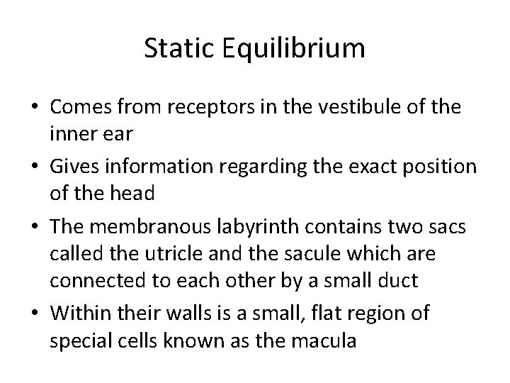 Static Equilibrium • Comes from receptors in the vestibule of the inner ear •