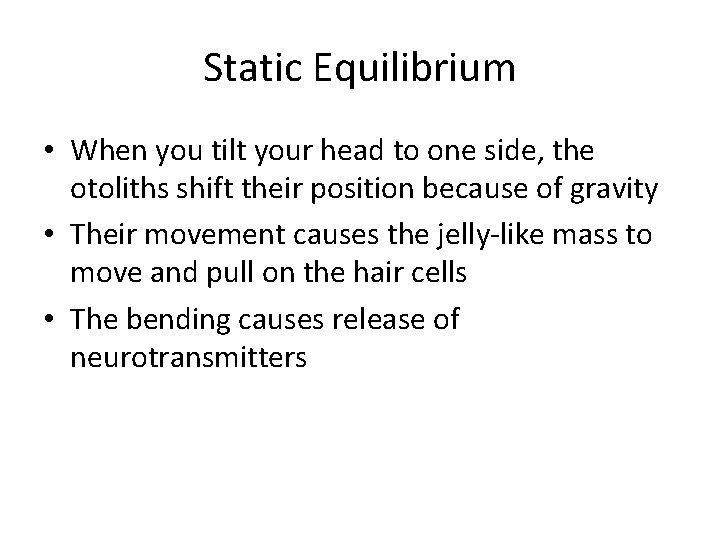 Static Equilibrium • When you tilt your head to one side, the otoliths shift