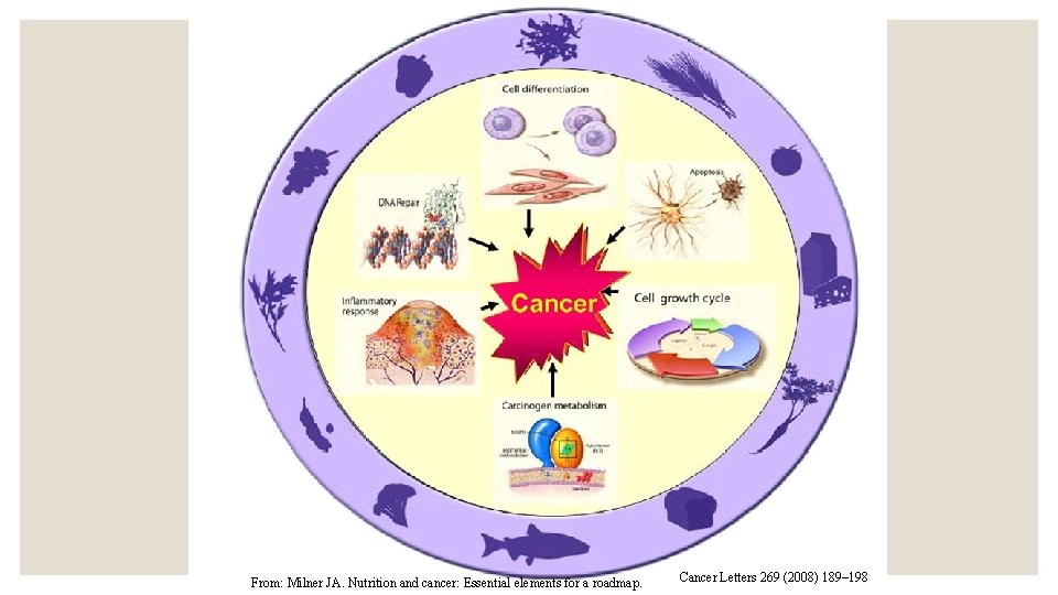 From: Milner JA. Nutrition and cancer: Essential elements for a roadmap. Cancer Letters 269
