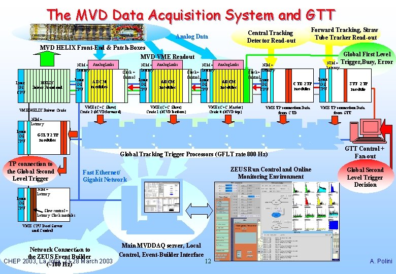 The MVD Data Acquisition System and GTT Central Tracking Detector Read-out Analog Data Forward