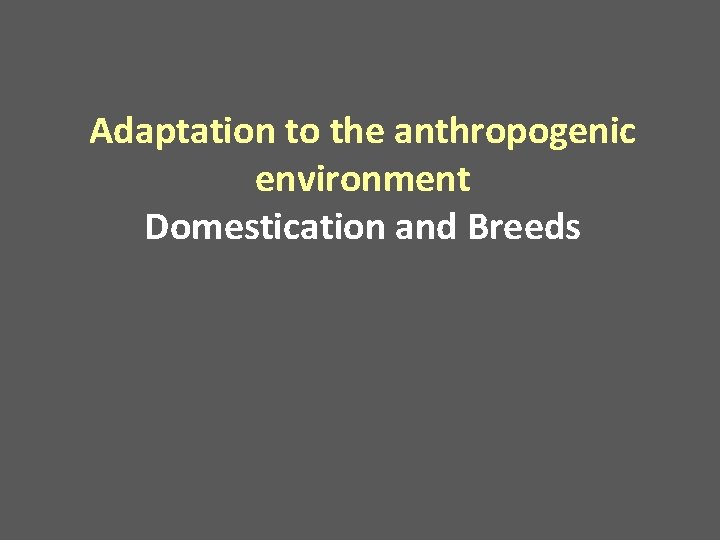 Adaptation to the anthropogenic environment Domestication and Breeds 