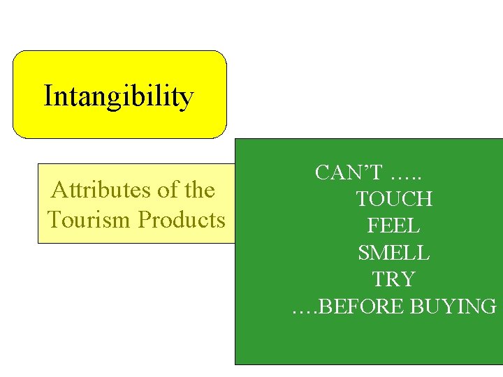 Intangibility Attributes of the Tourism Products CAN’T …. . TOUCH FEEL SMELL TRY ….