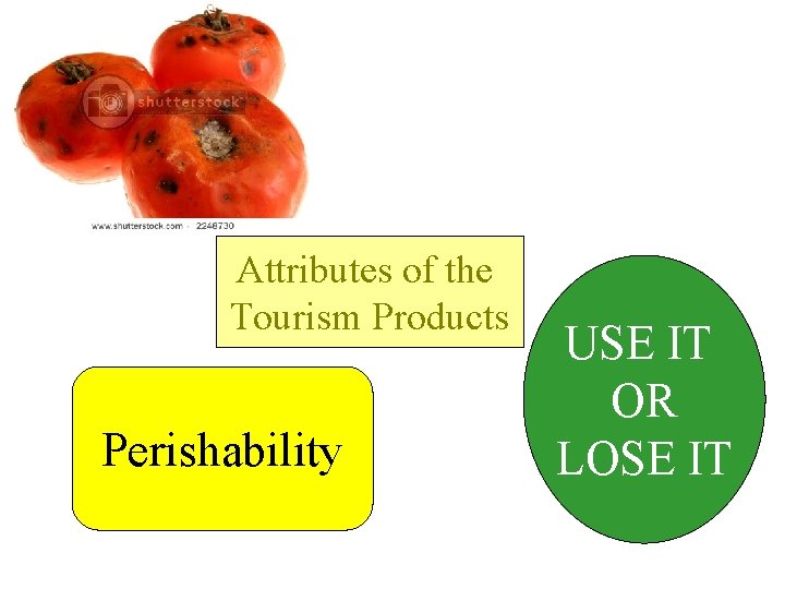 Attributes of the Tourism Products Perishability USE IT OR LOSE IT 