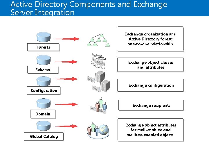 Active Directory Components and Exchange Server Integration Forests Schema Configuration Exchange organization and Active