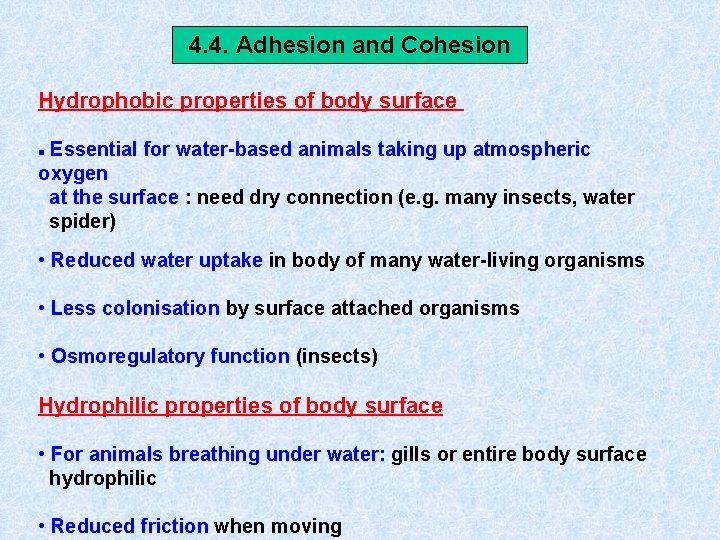 4. 4. Adhesion and Cohesion Hydrophobic properties of body surface Essential for water-based animals