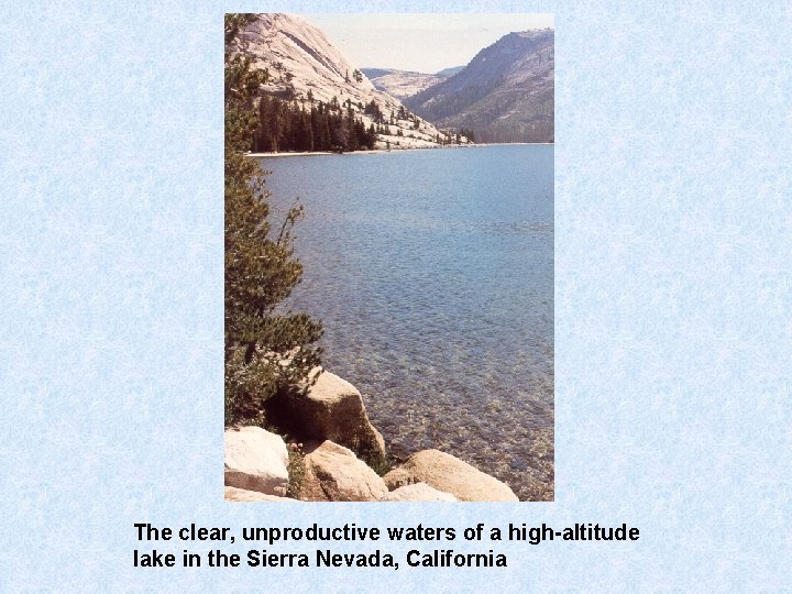 The clear, unproductive waters of a high-altitude lake in the Sierra Nevada, California 