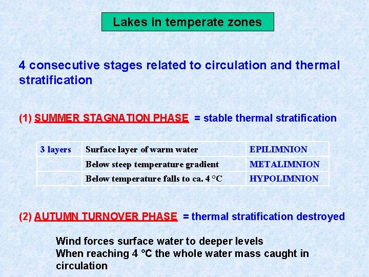 Lakes in temperate zones 4 consecutive stages related to circulation and thermal stratification (1)