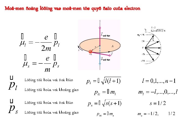 Moâ-men ñoäng löôïng vaø moâ-men töø quyõ ñaïo cuûa electron Löôïng töû hoùa veà