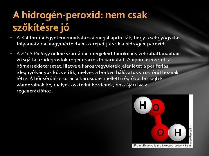 A hidrogén-peroxid: nem csak szőkítésre jó • A Kaliforniai Egyetem munkatársai megállapították, hogy a