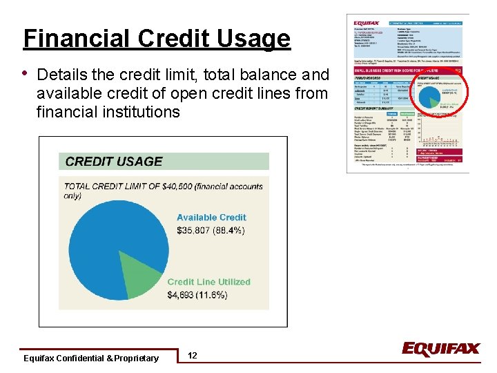 Financial Credit Usage • Details the credit limit, total balance and available credit of