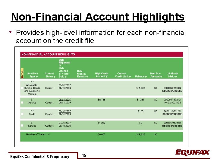 Non-Financial Account Highlights • Provides high-level information for each non-financial account on the credit