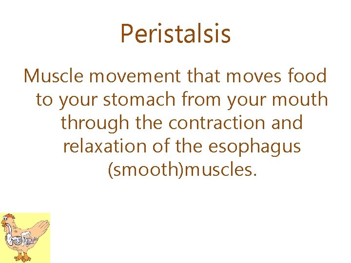 Peristalsis Muscle movement that moves food to your stomach from your mouth through the