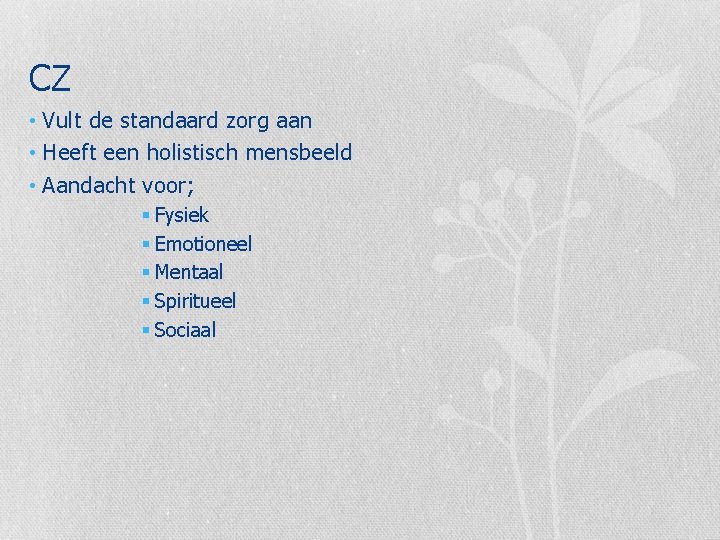 CZ • Vult de standaard zorg aan • Heeft een holistisch mensbeeld • Aandacht