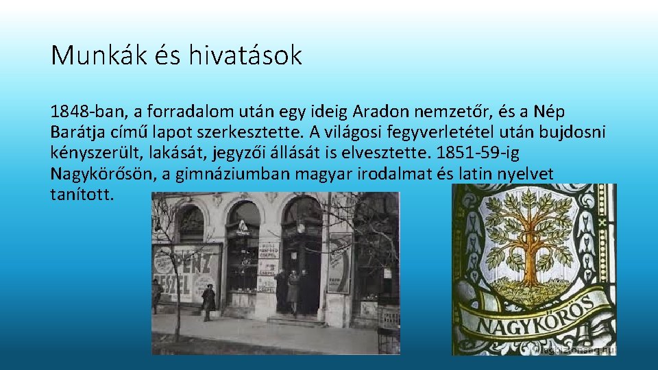 Munkák és hivatások 1848 -ban, a forradalom után egy ideig Aradon nemzetőr, és a