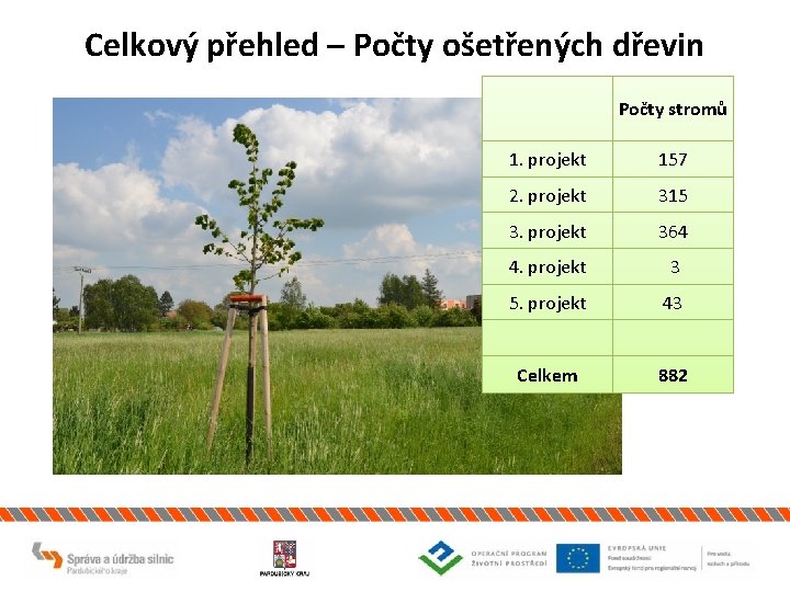 Celkový přehled – Počty ošetřených dřevin Počty stromů 1. projekt 157 2. projekt 315