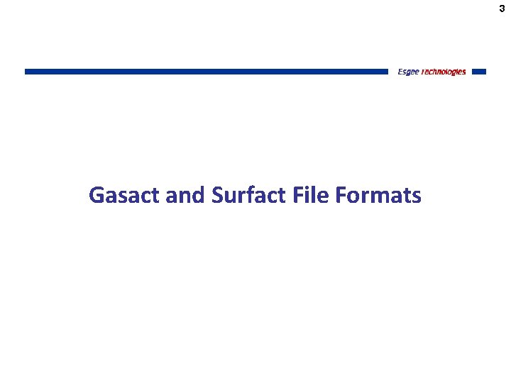 3 Gasact and Surfact File Formats 