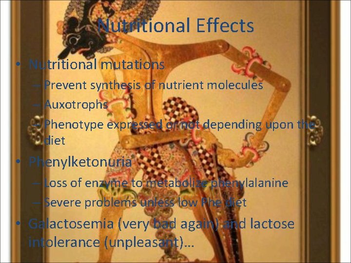 Nutritional Effects • Nutritional mutations – Prevent synthesis of nutrient molecules – Auxotrophs –