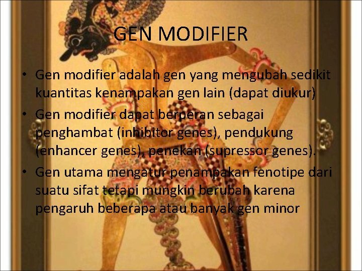 GEN MODIFIER • Gen modifier adalah gen yang mengubah sedikit kuantitas kenampakan gen lain