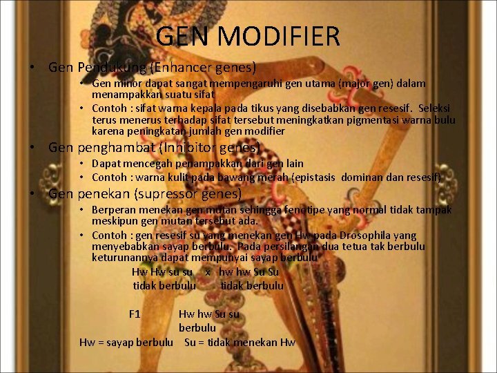 GEN MODIFIER • Gen Pendukung (Enhancer genes) • Gen minor dapat sangat mempengaruhi gen