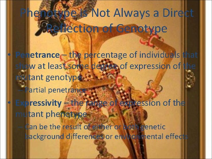 Phenotype Is Not Always a Direct Reflection of Genotype • Penetrance – the percentage