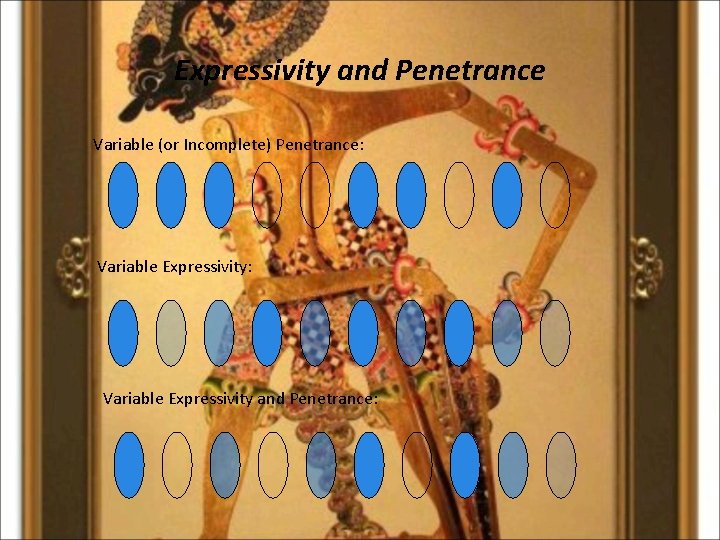 Expressivity and Penetrance Variable (or Incomplete) Penetrance: Variable Expressivity and Penetrance: 