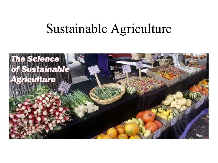 Sustainable Agriculture 