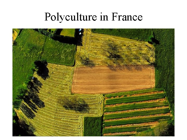 Polyculture in France 