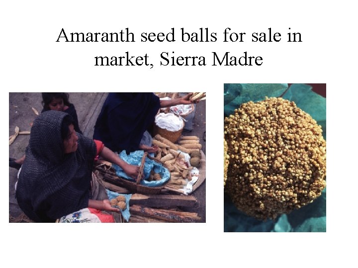 Amaranth seed balls for sale in market, Sierra Madre 