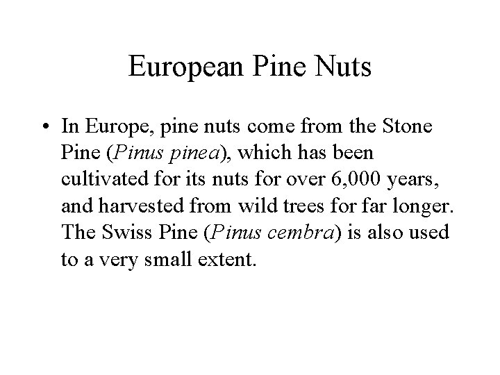 European Pine Nuts • In Europe, pine nuts come from the Stone Pine (Pinus
