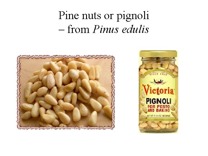 Pine nuts or pignoli – from Pinus edulis 