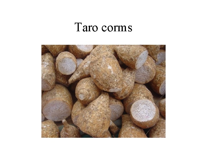 Taro corms 