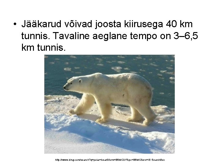  • Jääkarud võivad joosta kiirusega 40 km tunnis. Tavaline aeglane tempo on 3–