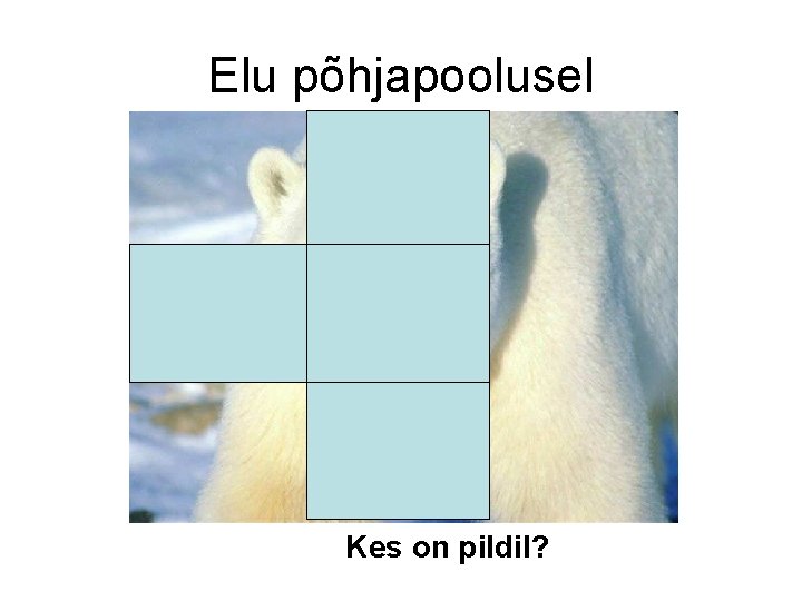 Elu põhjapoolusel Kes on pildil? 