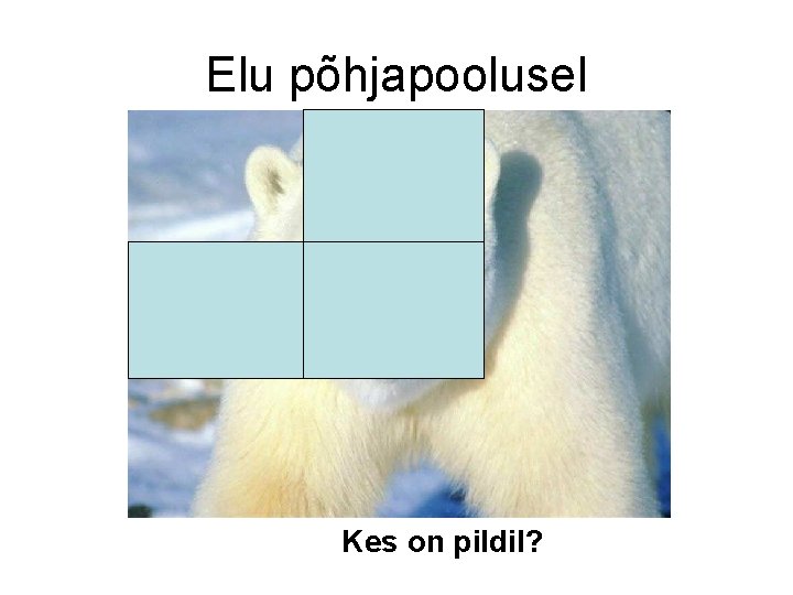Elu põhjapoolusel Kes on pildil? 