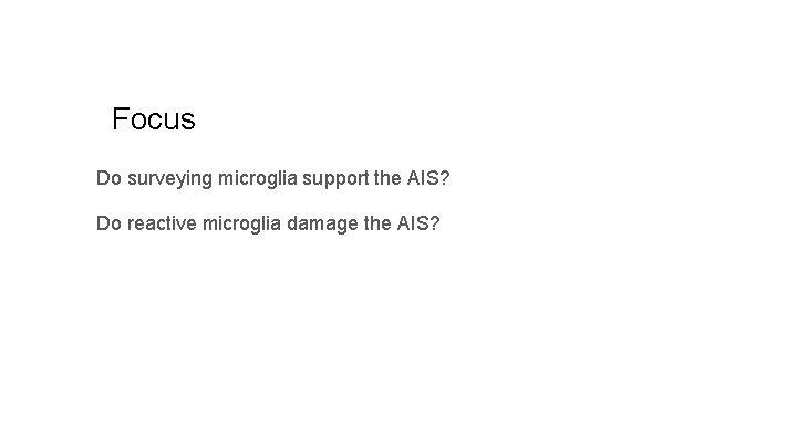 Focus Do surveying microglia support the AIS? Do reactive microglia damage the AIS? 