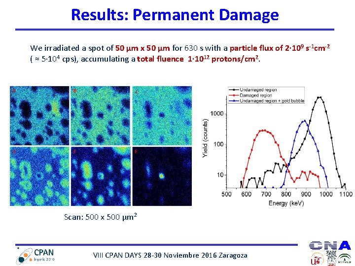 Results: Permanent Damage We irradiated a spot of 50 µm x 50 µm for