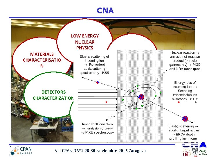 CNA LOW ENERGY NUCLEAR PHYSICS MATERIALS CHARACTERISATIO N DETECTORS CHARACTERIZATION NEUTRON BEAMLINE ION IMPLANTATION