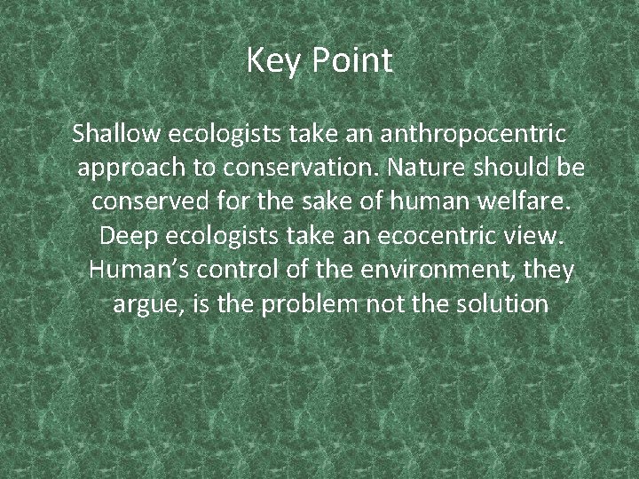Key Point Shallow ecologists take an anthropocentric approach to conservation. Nature should be conserved
