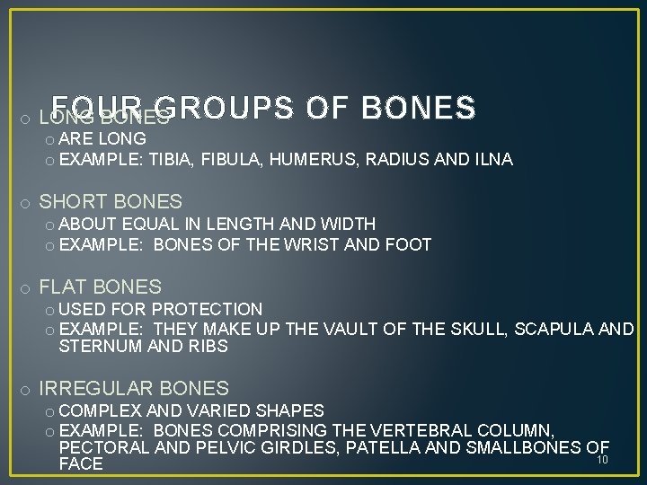 FOUR GROUPS OF BONES o LONG BONES o ARE LONG o EXAMPLE: TIBIA, FIBULA,