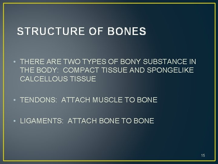 STRUCTURE OF BONES • THERE ARE TWO TYPES OF BONY SUBSTANCE IN THE BODY: